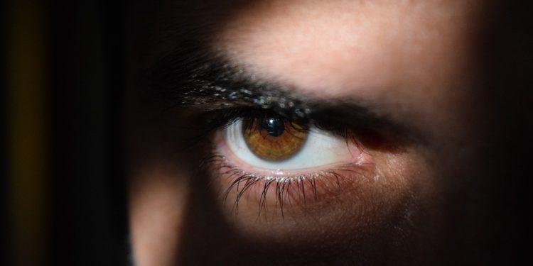 Certaines entreprises poddèdent toutes vos données personnelles