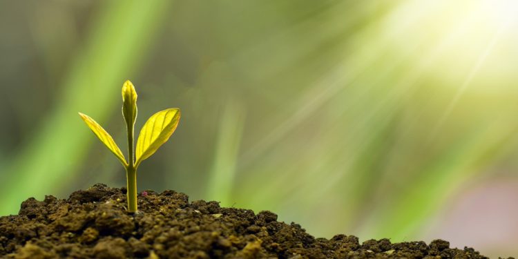 Le retour de la croissance économique en Tunisie