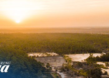 Reprise progressive du tourisme dès cet été en Tunisie ?