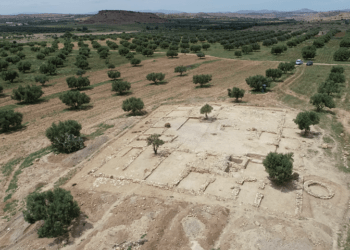 Une ferme antique découverte à Zaghouan