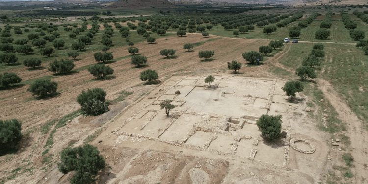 Une ferme antique découverte à Zaghouan
