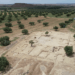 Une ferme antique découverte à Zaghouan