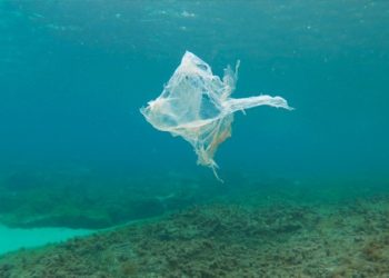 Projection du fil plasticratie