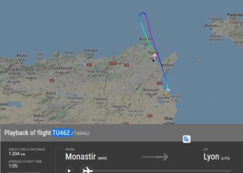 Un avion Tunisair a évité la catastrphoe de justesse en allant à Lyon