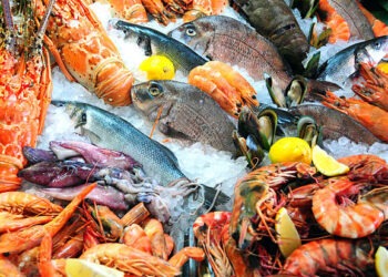 Djerba : Rénovation du marché aux poissons de Houmet Souk