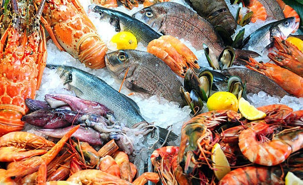 Djerba : Rénovation du marché aux poissons de Houmet Souk