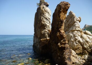 Les aiguilles de Tabarka