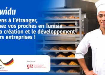 Les TRE pour la création des entreprises en Tunisie