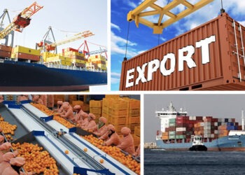 CEPEX : Relance des exportations tunisiennes à l’étranger