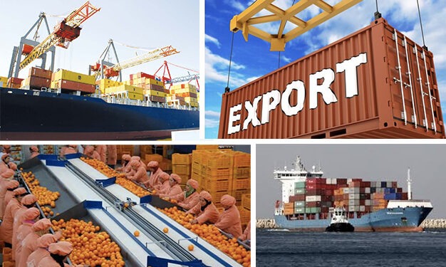 CEPEX : Relance des exportations tunisiennes à l’étranger