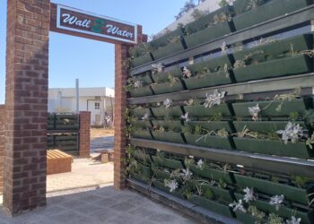 Tunisie : Des murs végétaux en ville pour le traitement des eaux usées