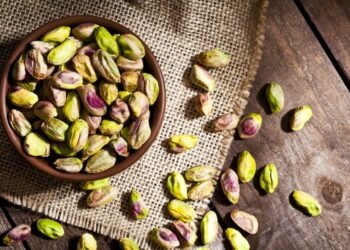 La production de pistaches sur la bonne voie en Tunisie