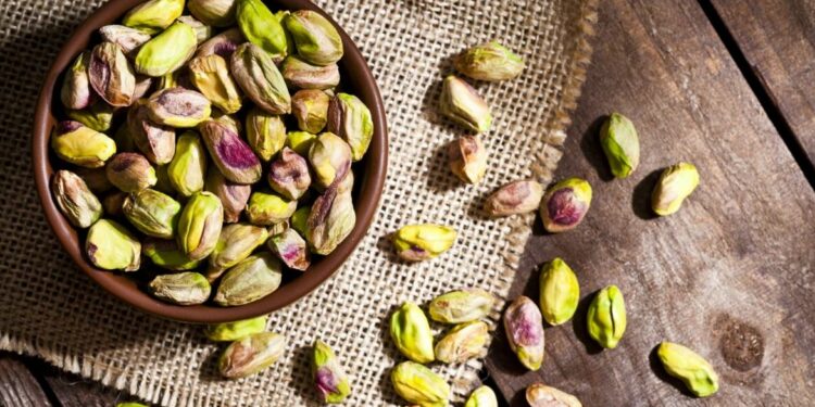 La production de pistaches sur la bonne voie en Tunisie