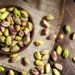 La production de pistaches sur la bonne voie en Tunisie