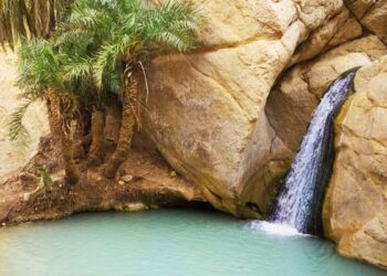 Tourisme : Hausse de 36% du nombre de visiteurs à Tozeur