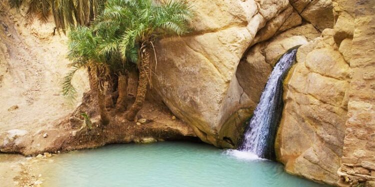 Tourisme : Hausse de 36% du nombre de visiteurs à Tozeur