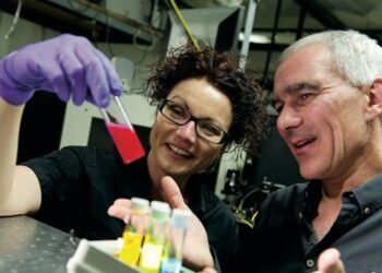 Le prix Nobel de physique attribué au Tunisien Moungi Bawendi