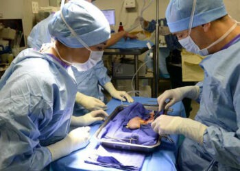 Tunisie : 52 personnes sauvées grâce aux dons d’organes en 2022