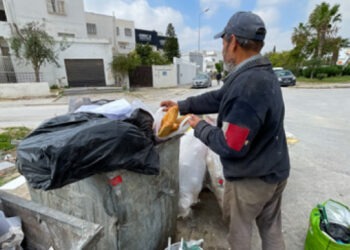 Gaspillage alimentaire en Tunisie : Comprendre pour agir !