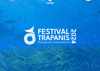 Coupe d’Afrique 2024 de la photographie subaquatique à Mahdia