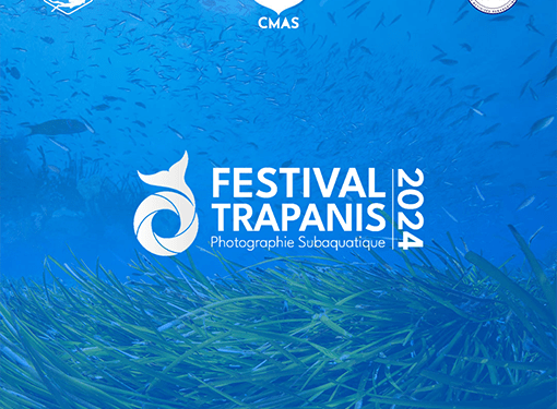 Coupe d’Afrique 2024 de la photographie subaquatique à Mahdia