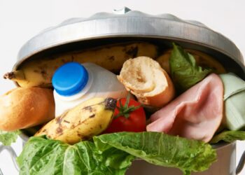 Le gaspillage alimentaire, un véritable fléau en Tunisie