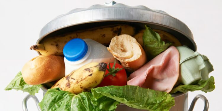 Le gaspillage alimentaire, un véritable fléau en Tunisie