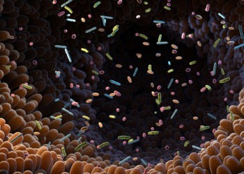 Journée mondiale des probiotiques et du microbiote à la Cité des sciences à Tunis