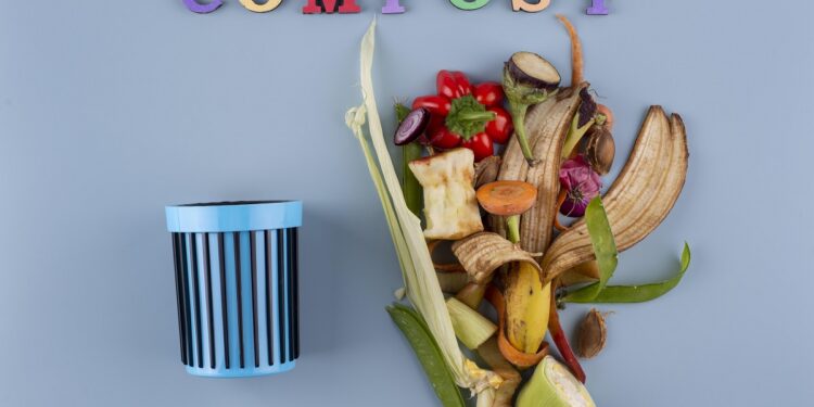 La gestion des déchets alimentaires : Un défi écologique majeur pour la Tunisie