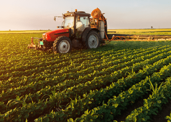Jendouba : Pour une agriculture résiliente face au changement climatique