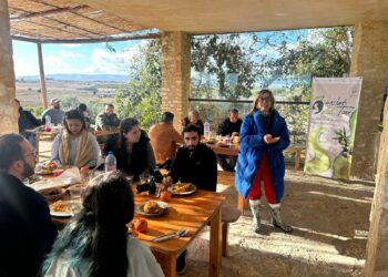 Kairouan : Une route touristique autour de l’huile d’olive Oueslati