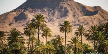 Tunisie : Le Géoparc du Dahar intègre le réseau UNESCO