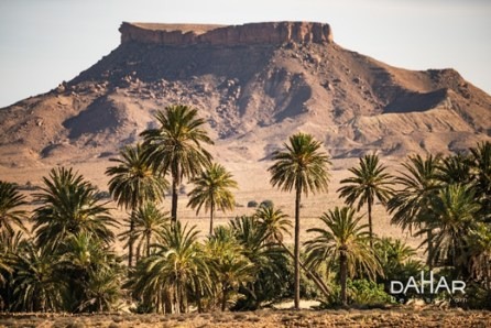 Tunisie : Le Géoparc du Dahar intègre le réseau UNESCO