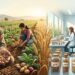 Le retour des semences paysannes : L’avenir de l’agriculture tunisienne ?
