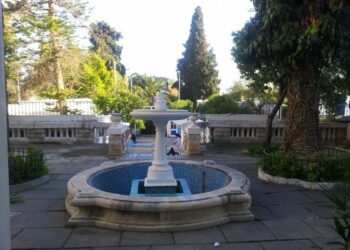 Rentrée 2025-2026 : Le jardin d’enfants « Piou Piou » décroche la labellisation ANEFE