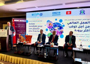 Journée mondiale de l’Ozone: La Tunisie accélère sa transition vers un refroidissement durable