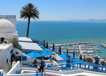 Tunisiens résidents à l’étranger : Moteurs économiques et acteurs majeurs du développement local