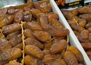 Deglet Nour : pourquoi la datte de Tunisie est la star de l’automne
