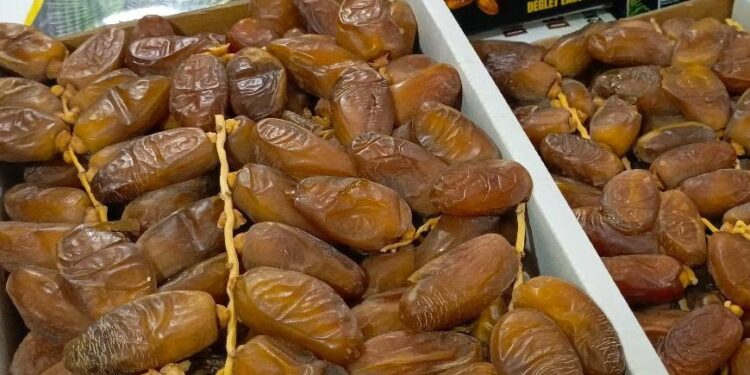 Deglet Nour : pourquoi la datte de Tunisie est la star de l’automne
